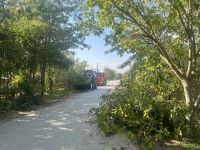 Новости » Общество: В районе Мичурино приступили к наведению порядка